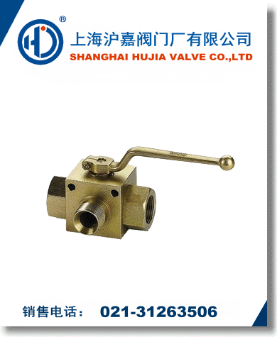VH3V二位三通球閥