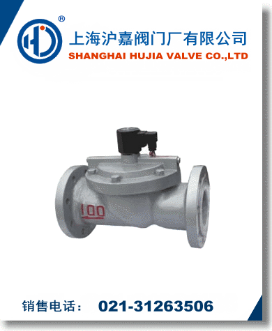 ZCS水用電磁閥