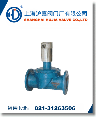 ZCM煤氣電磁閥